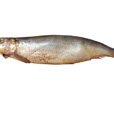 رنجه دلعه بطروخ خشن